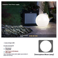 Outdoor Solar Garden Lights