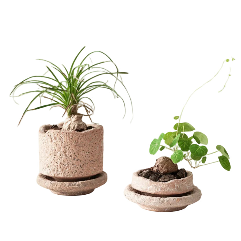 Burning Ceramic Flowerpot