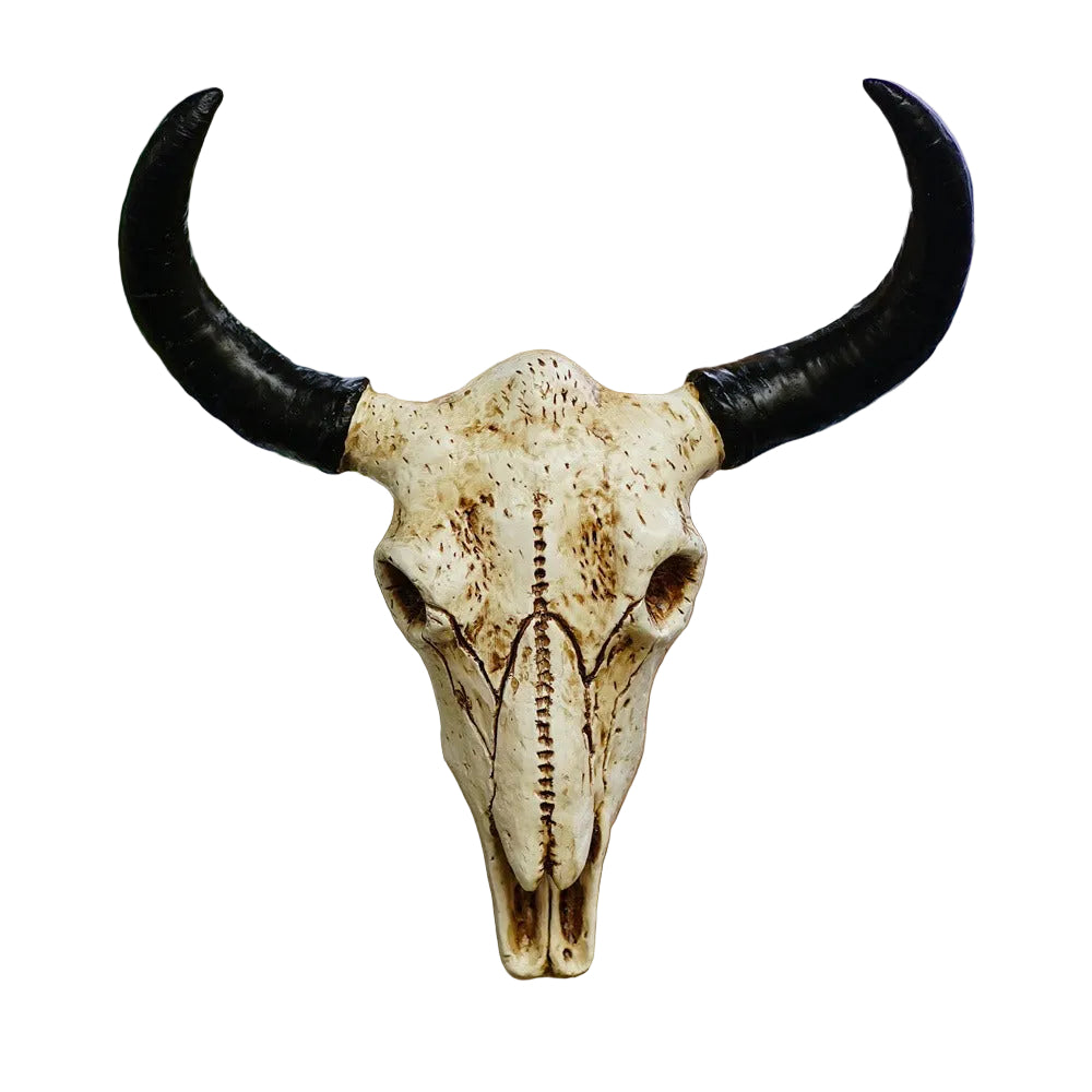 Wall Mounted Cow Horn