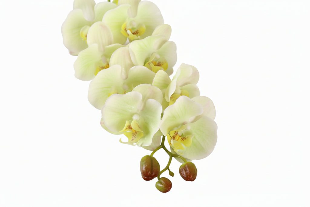 7 Phalaenopsis Head Artificial Flowers