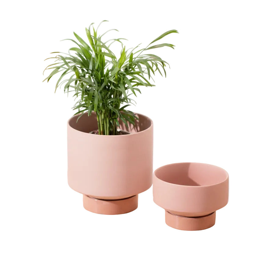 Ceramic Planters
