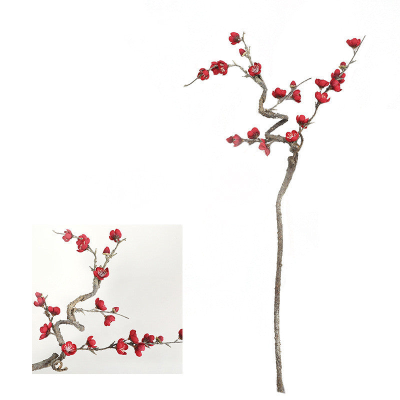 Chinese Cherry Blossom