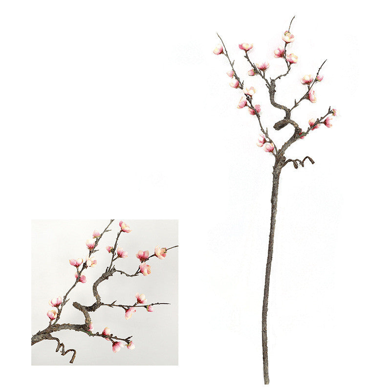 Chinese Cherry Blossom