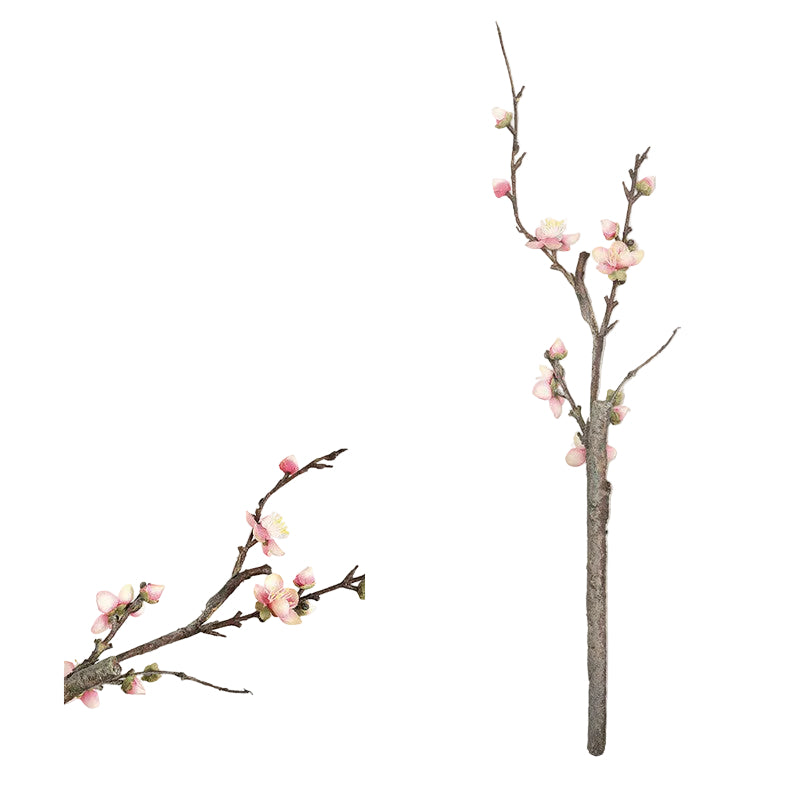Chinese Cherry Blossom