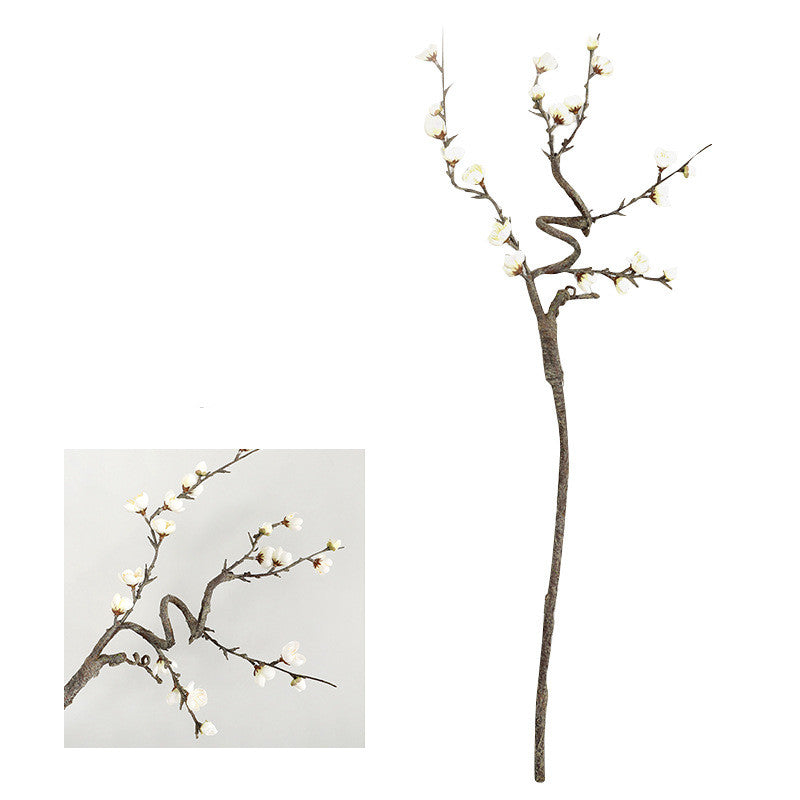 Chinese Cherry Blossom