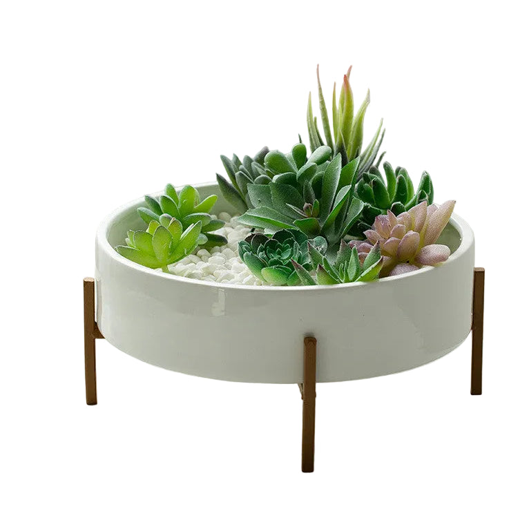 Succulent Plant Pot