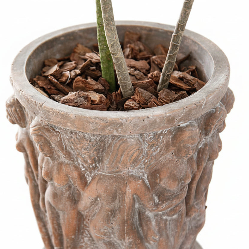 Large Flower Pot