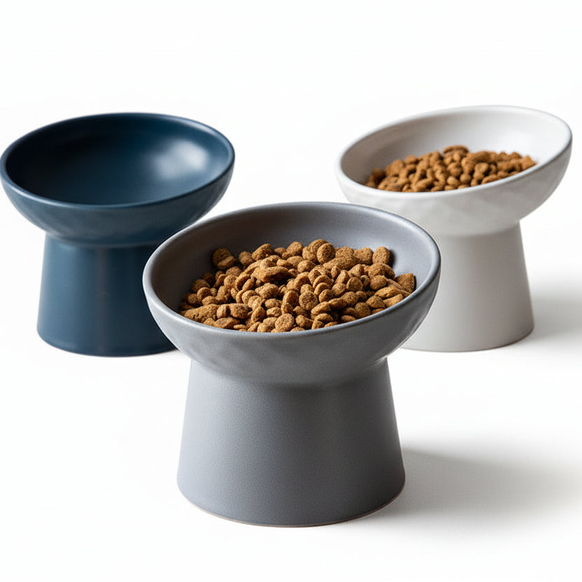 Oblique Mouth Cat Bowl
