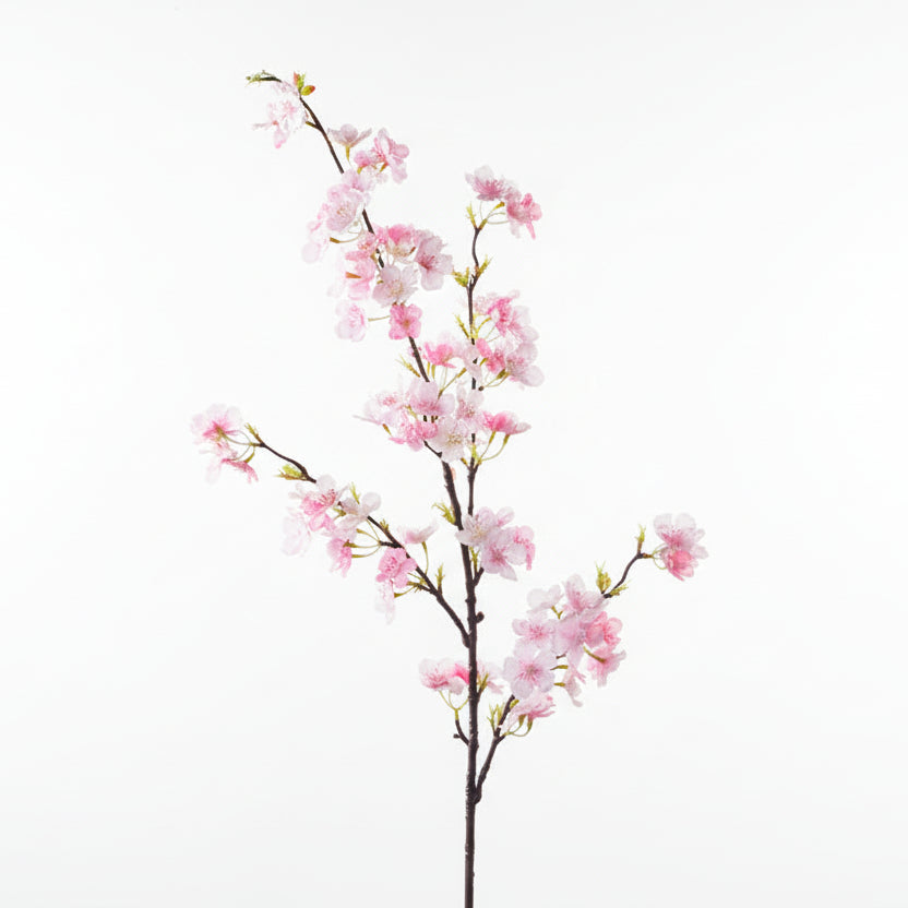 Silk Cherry Blossom