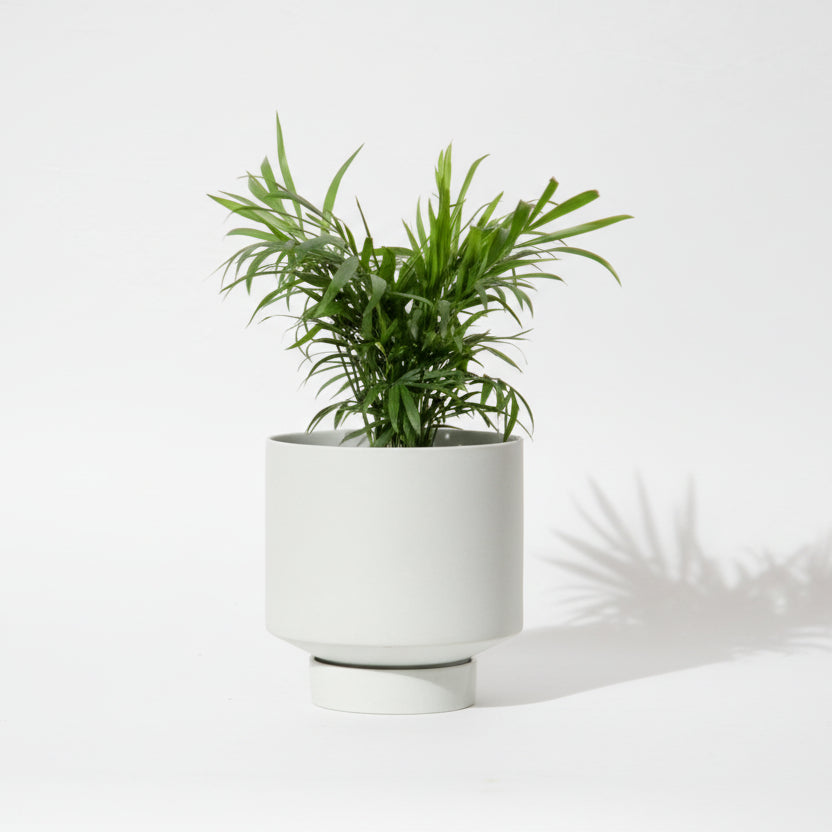 Ceramic Planters