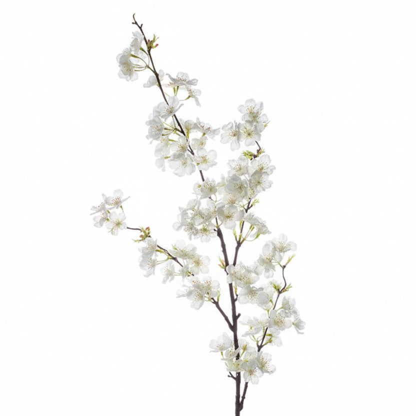 Silk Cherry Blossom