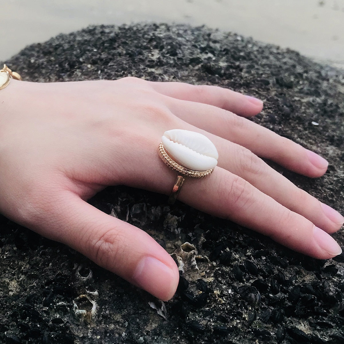 Shell Ring