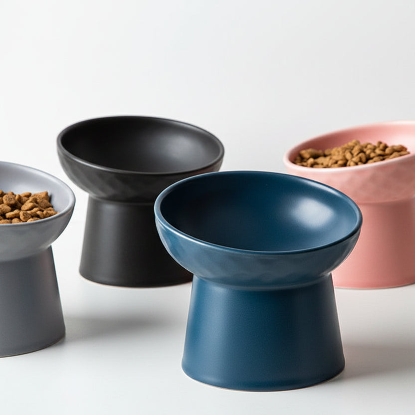 Oblique Mouth Cat Bowl