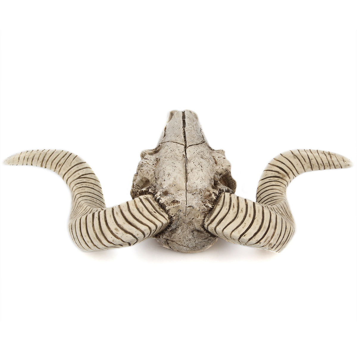 Horned Skull Wall Hanging Deco