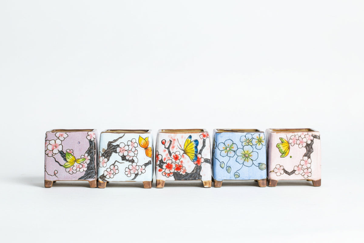 Square potted painted ceramic pots