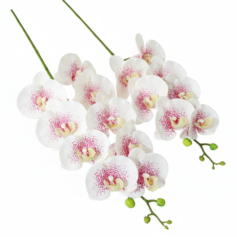 7 Phalaenopsis Head Artificial Flowers