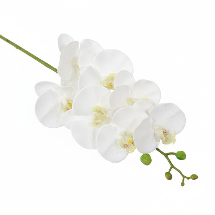 7 Phalaenopsis Head Artificial Flowers