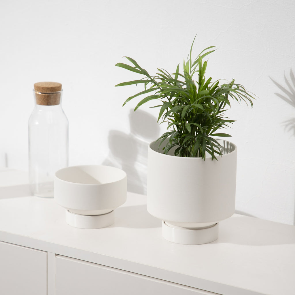 Ceramic Planters