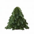 Mini Tree