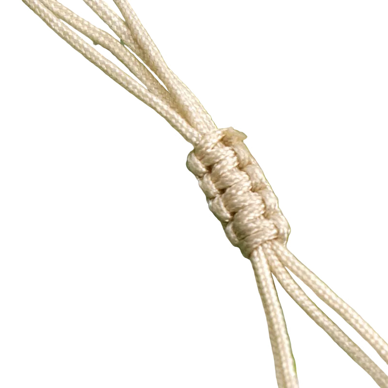 Shell Choker Necklace and Bracelet