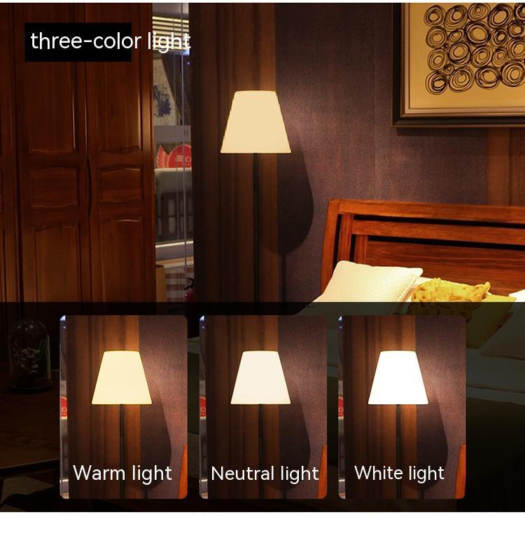 LED Floor Lamp