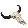 Cow Horns and Skeletons