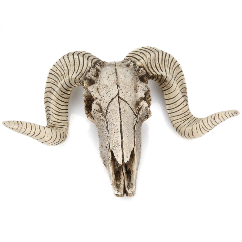 Horned Skull Wall Hanging Deco
