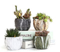 Ceramic Plant Pot With Marble Patterned Finish