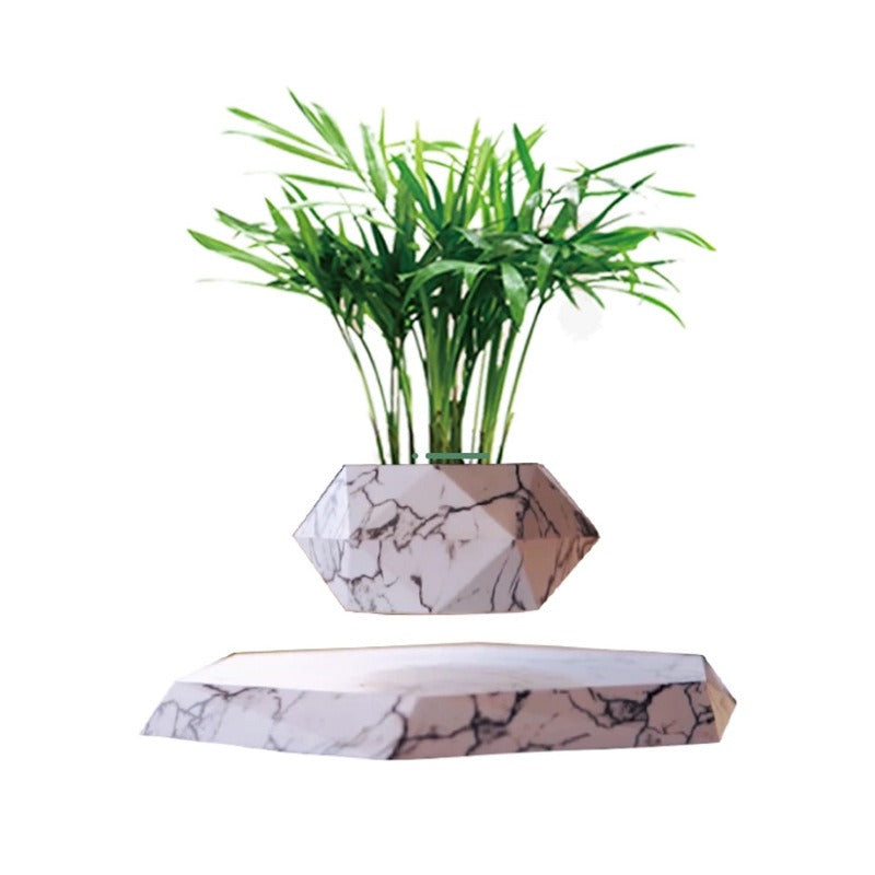 Magnetic levitation potted plants