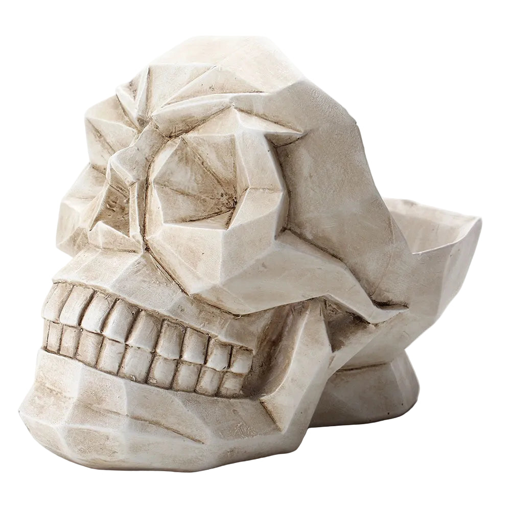 Skull Storage Box