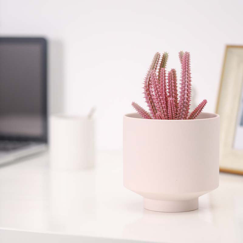 Ceramic Planters