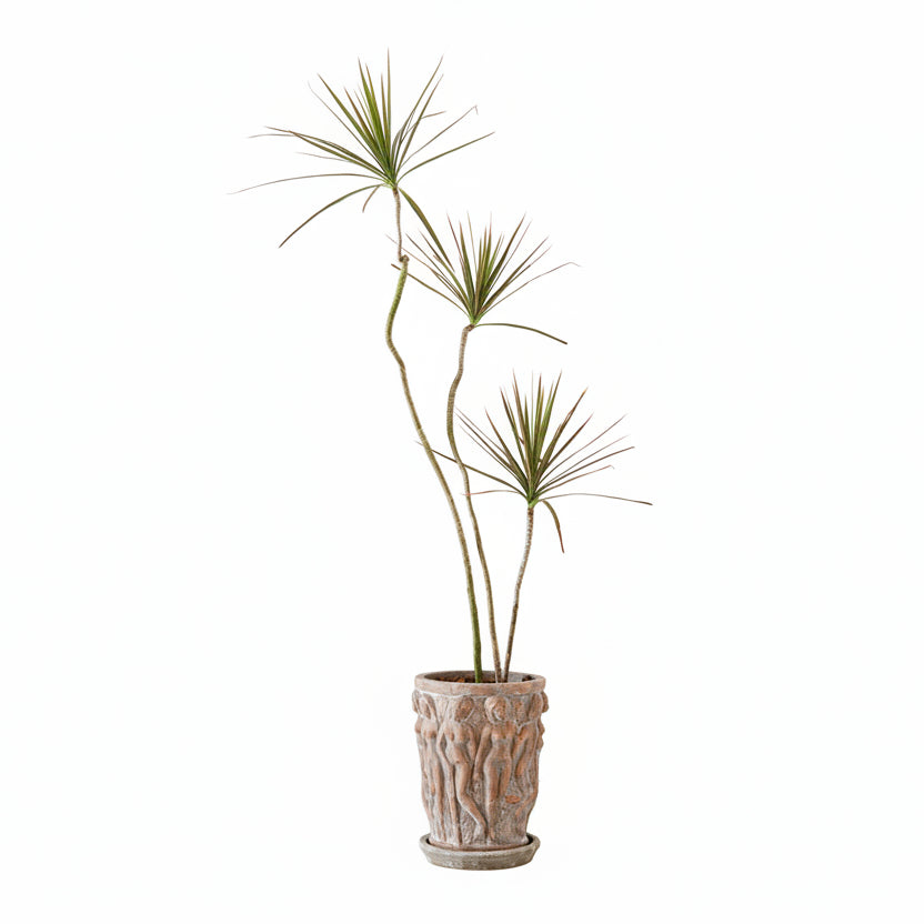 Large Flower Pot