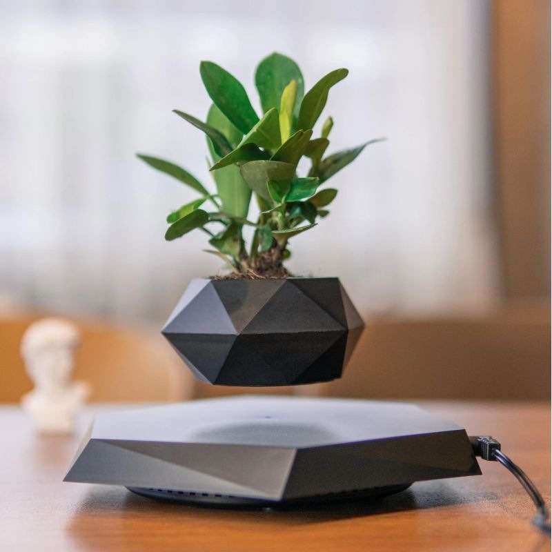 Magnetic levitation potted plants