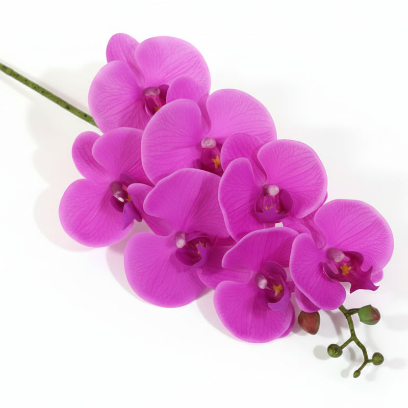 7 Phalaenopsis Head Artificial Flowers