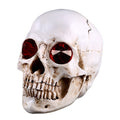 Skeleton Red Diamond Ornament