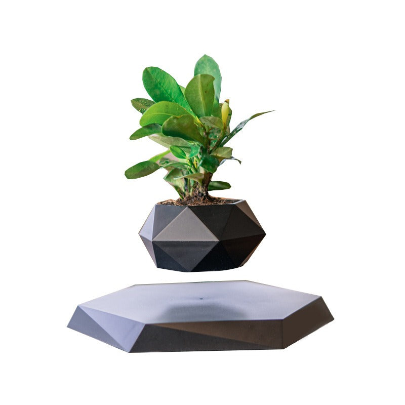 Magnetic levitation potted plants