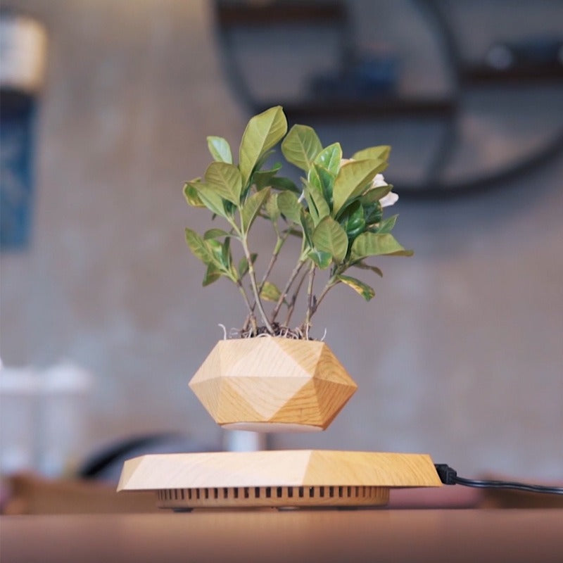 Magnetic levitation potted plants