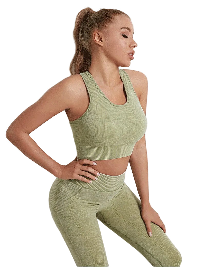 Yoga Two Piece Set Fitness Gym Set