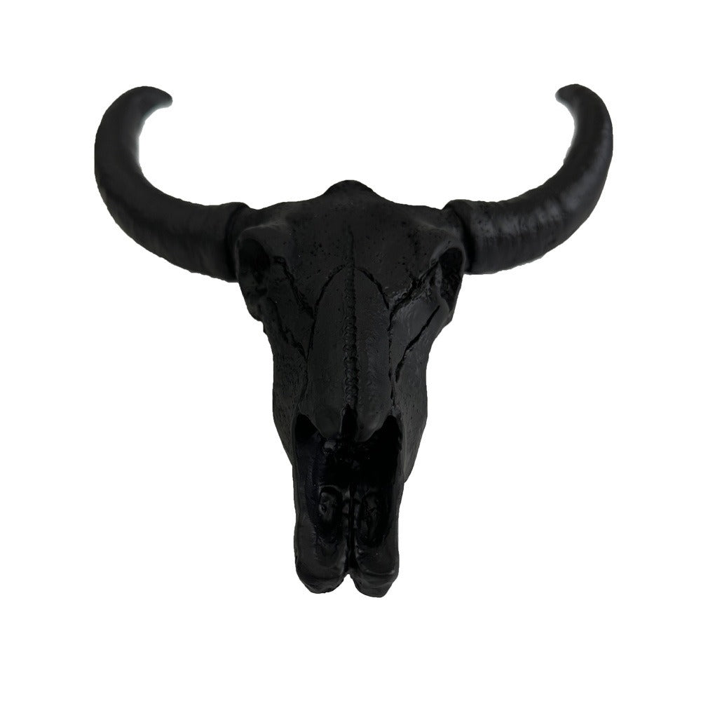 Cow Horns and Skeletons