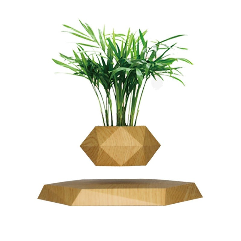 Magnetic levitation potted plants