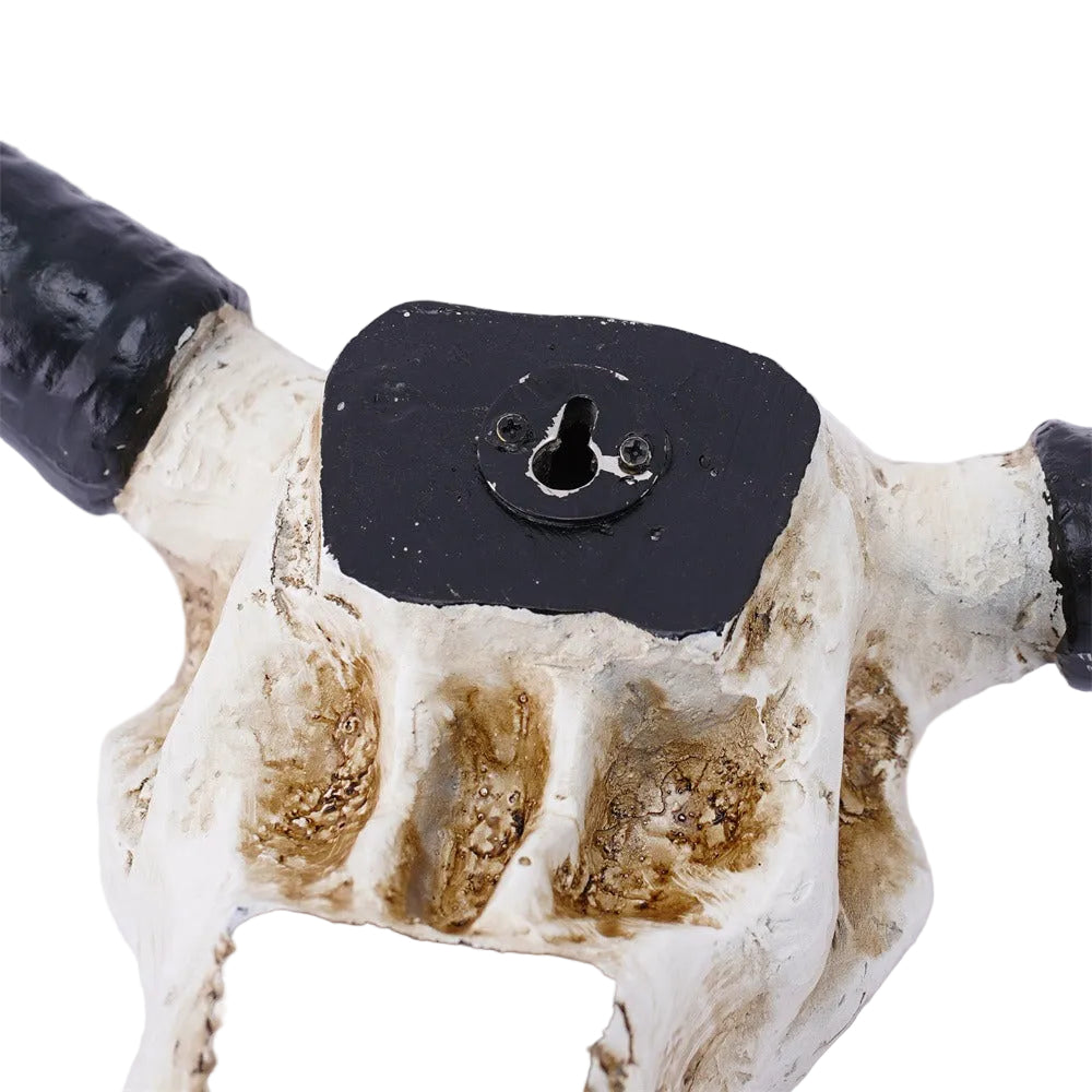 Wall Mounted Cow Horn