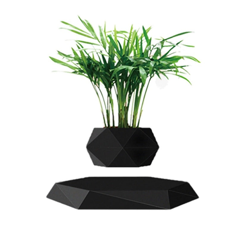 Magnetic levitation potted plants