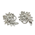 Water Diamond Zircon Flower Earrings