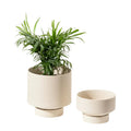 Ceramic Planters