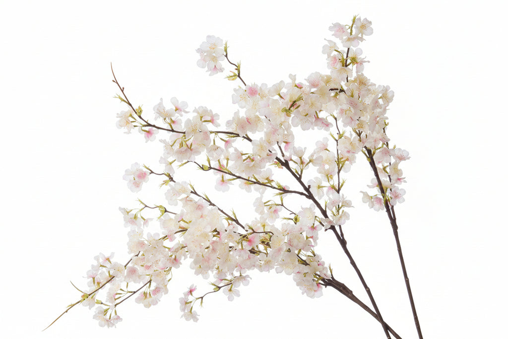 Silk Cherry Blossom