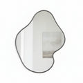 Irregular Wall Mirror