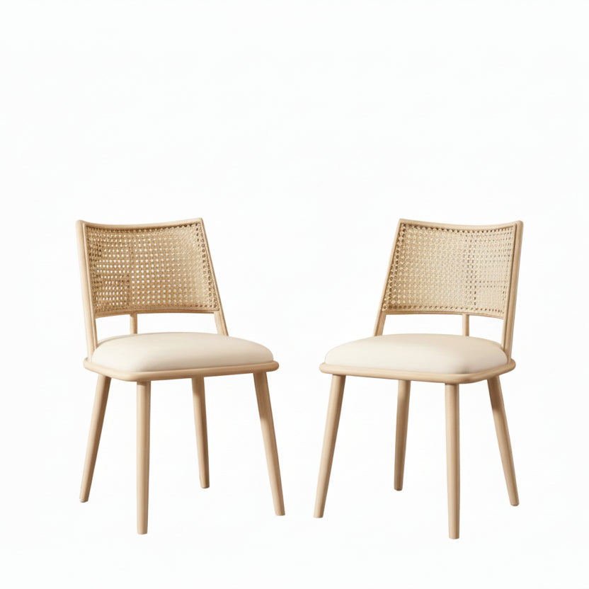 Set Of 2  Seats, Rattan Chairs