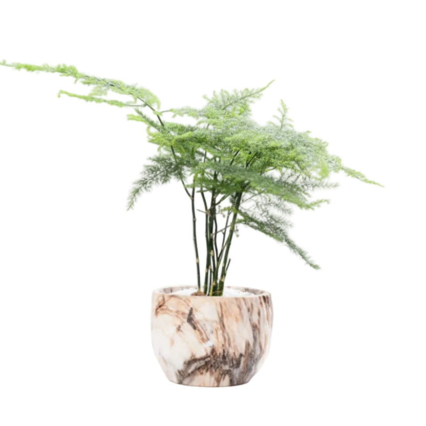 Ceramic Plant Pot With Marble Patterned Finish